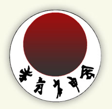 Seishinkai Shotokan Karate International (SSKI)
